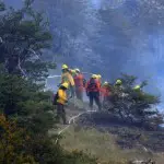 1500 hectares sont détruits suite à un incendie dans un parc naturel à la Patagonie au sud du Chili